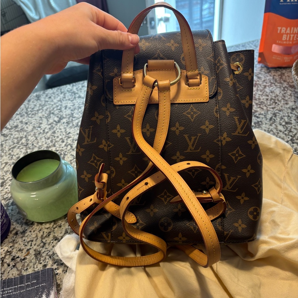 Louis Vuitton Monogram Montsouris NM Backpack - Picture 2 of 4